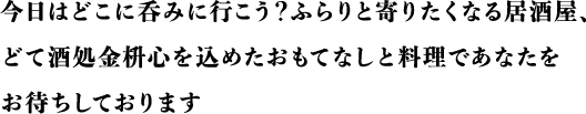 今日はどこに呑みに行こう？ふらりと寄りたくなる居酒屋、どて酒処 金枡　心を込めたおもてなしと料理であなたをお待ちしております